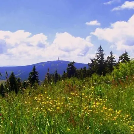 Apartment Bergkristall By Interhome Neudorf (Saxony)