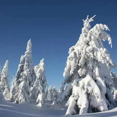 Apartment Bergkristall By Interhome Neudorf (Saxony)