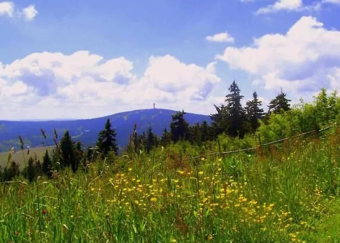 Lägenhet Bergkristall By Interhome Neudorf (Saxony)