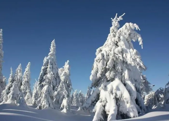 Lägenhet Bergkristall By Interhome Neudorf (Saxony)